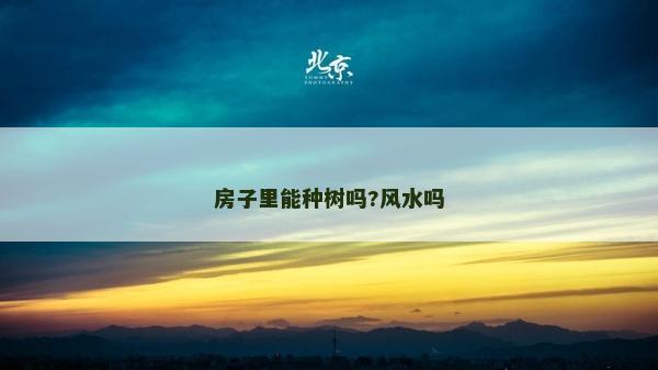 房子里能种树吗?风水吗