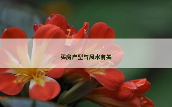 买房户型与风水有关