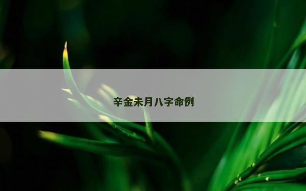 辛金未月八字命例