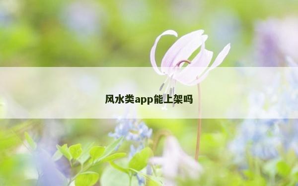 风水类app能上架吗