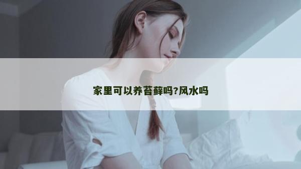 家里可以养苔藓吗?风水吗