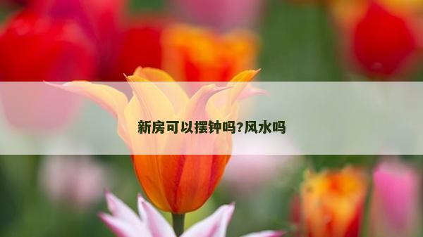 新房可以摆钟吗?风水吗