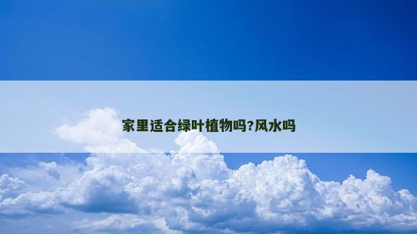 家里适合绿叶植物吗?风水吗