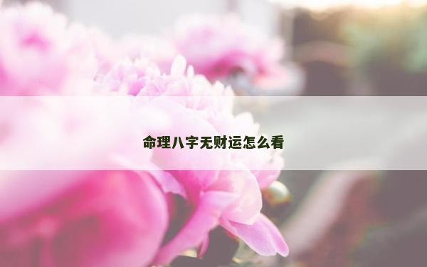 命理八字无财运怎么看