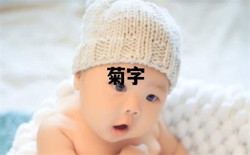 菊字五行属什么 菊字取名寓意女孩