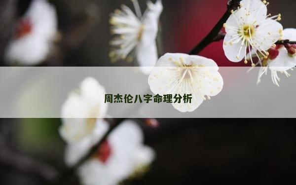 周杰伦八字命理分析