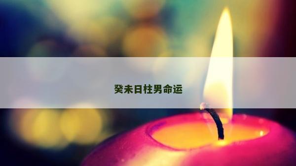 癸未日柱男命运