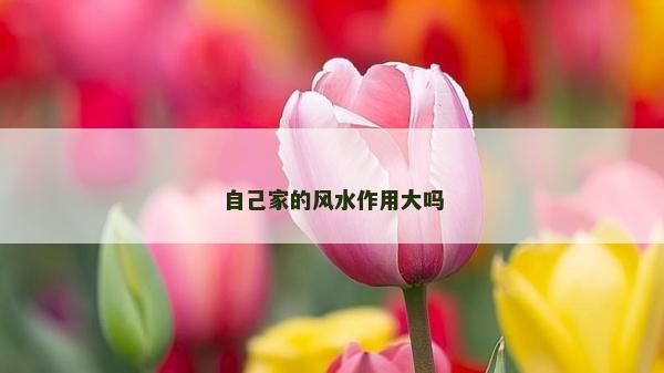 自己家的风水作用大吗