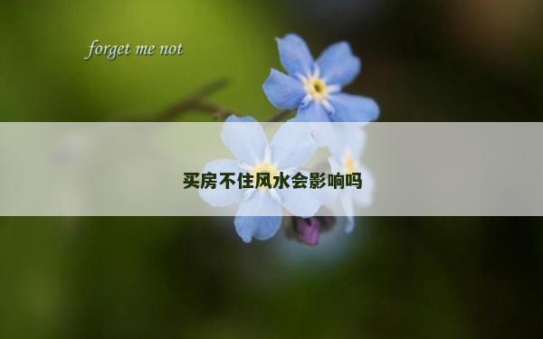 买房不住风水会影响吗
