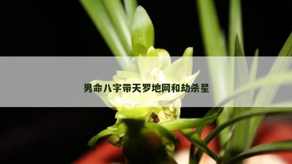 男命八字带天罗地网和劫杀星