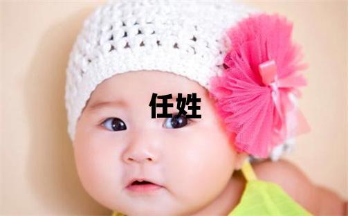 任姓优美大方的男孩名字