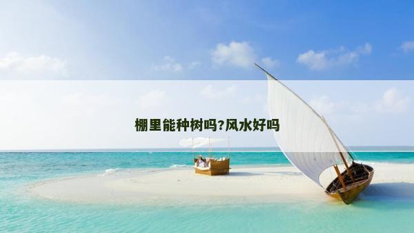 棚里能种树吗?风水好吗