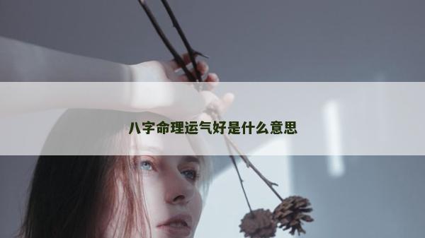 八字命理运气好是什么意思