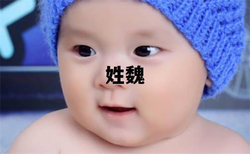姓魏叫什么名字好 姓魏的女孩冷门独特的名字