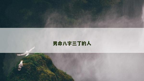 男命八字三丁的人