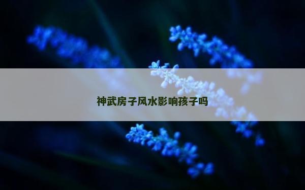 神武房子风水影响孩子吗