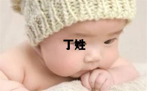 丁姓取名朗朗上口的男宝宝名字
