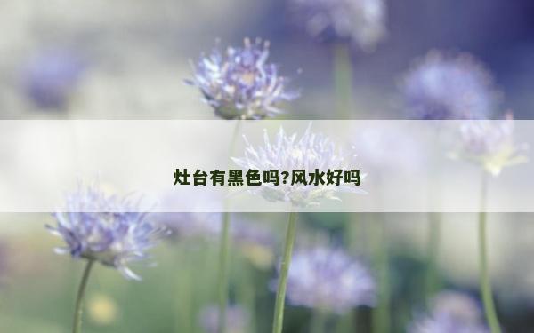 灶台有黑色吗?风水好吗
