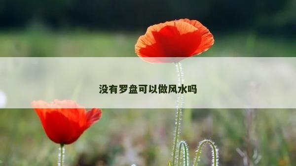没有罗盘可以做风水吗