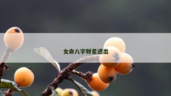 女命八字财星透出