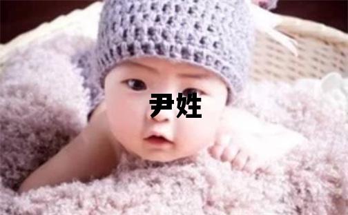尹姓冷门独特的男宝宝名字
