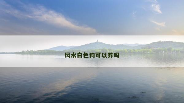 风水白色狗可以养吗