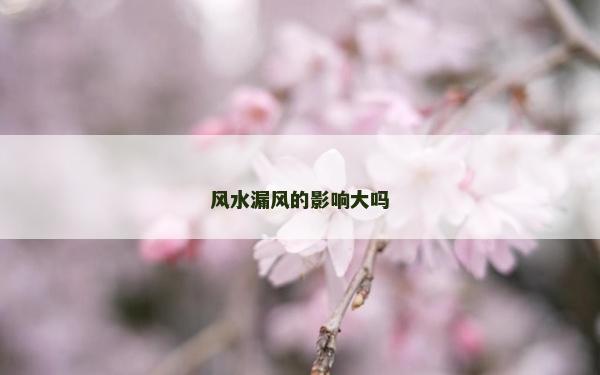 风水漏风的影响大吗