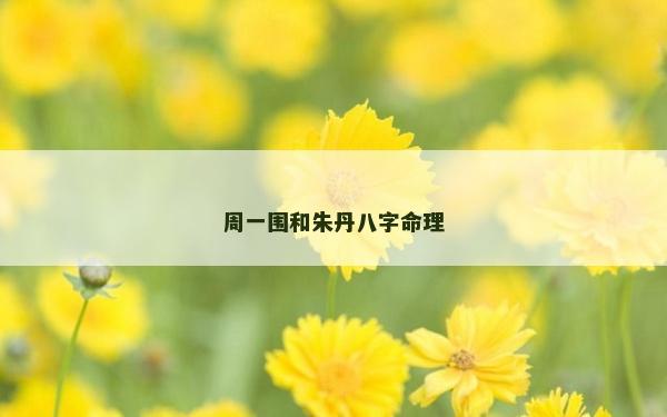周一围和朱丹八字命理