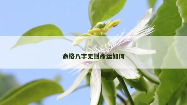 命格八字无财命运如何