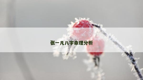 张一凡八字命理分析