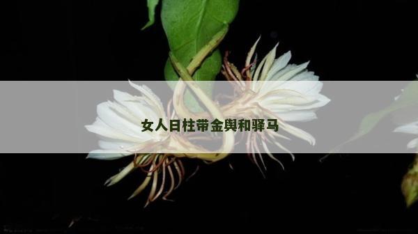 女人日柱带金舆和驿马