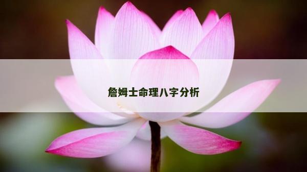 詹姆士命理八字分析