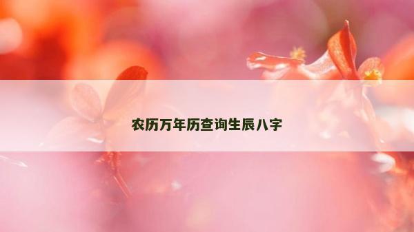 农历万年历查询生辰八字