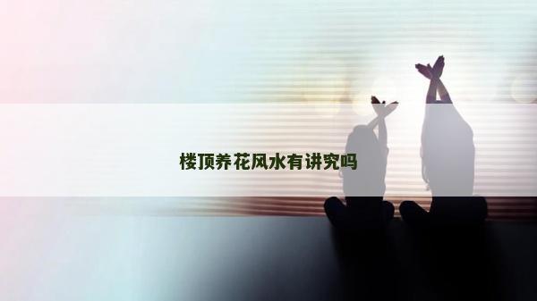 楼顶养花风水有讲究吗