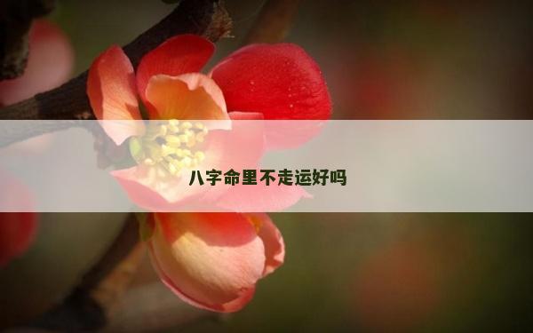 八字命里不走运好吗