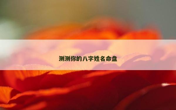 测测你的八字姓名命盘