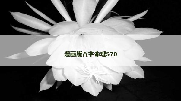 漫画版八字命理570