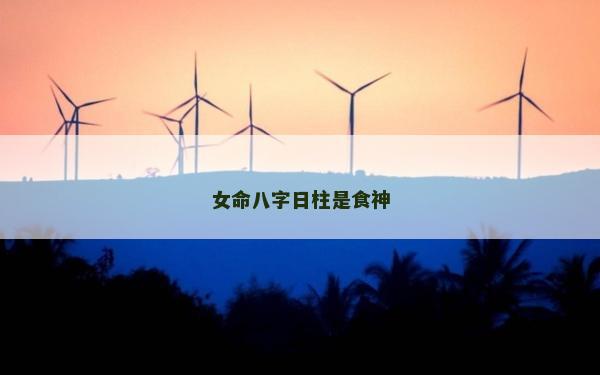 女命八字日柱是食神