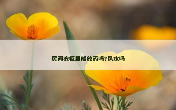 房间衣柜里能放药吗?风水吗