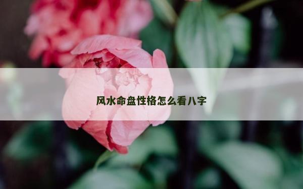 风水命盘性格怎么看八字
