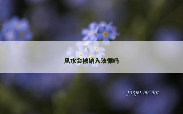风水会被纳入法律吗
