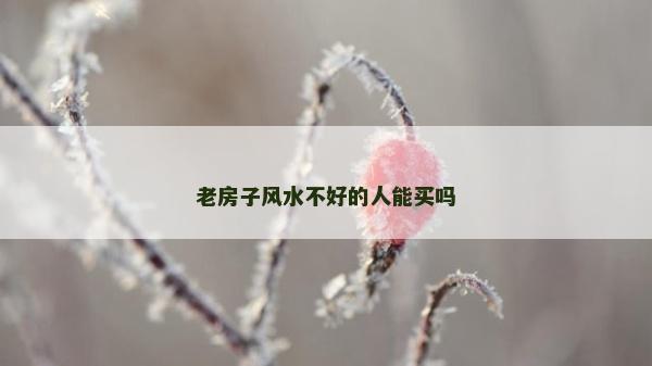 老房子风水不好的人能买吗