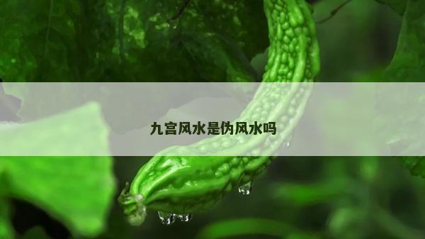 九宫风水是伪风水吗