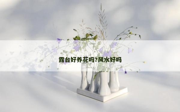 露台好养花吗?风水好吗