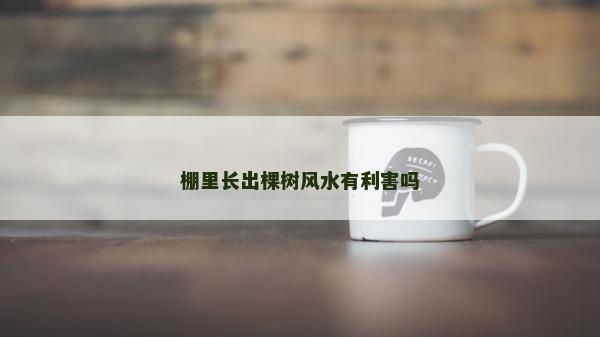 棚里长出棵树风水有利害吗