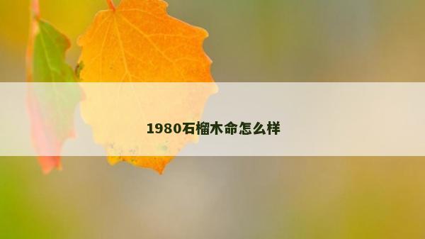 1980石榴木命怎么样