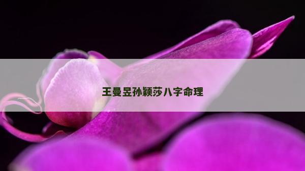 王曼昱孙颖莎八字命理