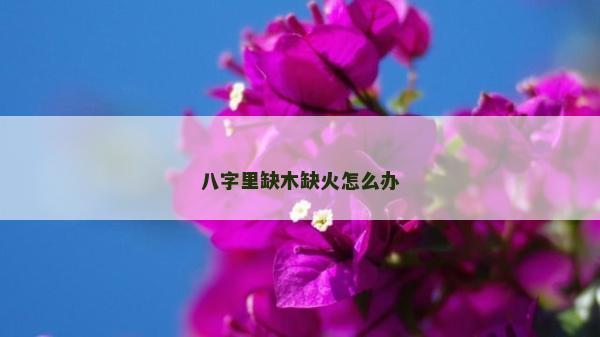 八字里缺木缺火怎么办
