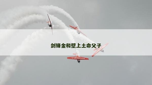 剑锋金和壁上土命父子
