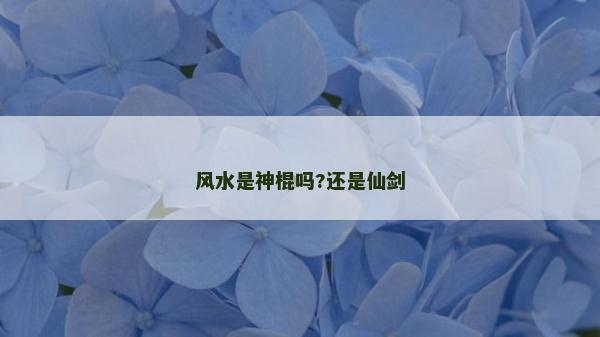 风水是神棍吗?还是仙剑